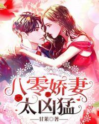 龙珠之双生子百度百科